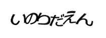 Authentication image